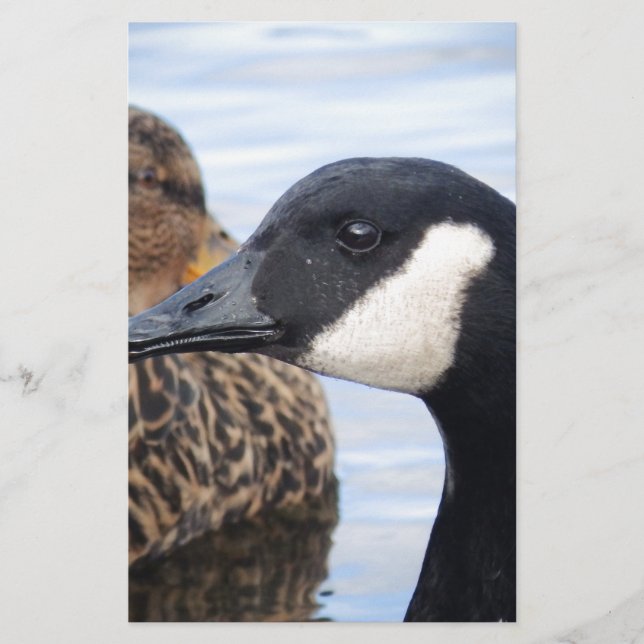 Papeterie Regard (Devant)