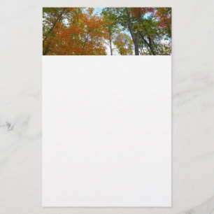 Papeterie Regard sur les feuilles d'automne I Colorful Fall 