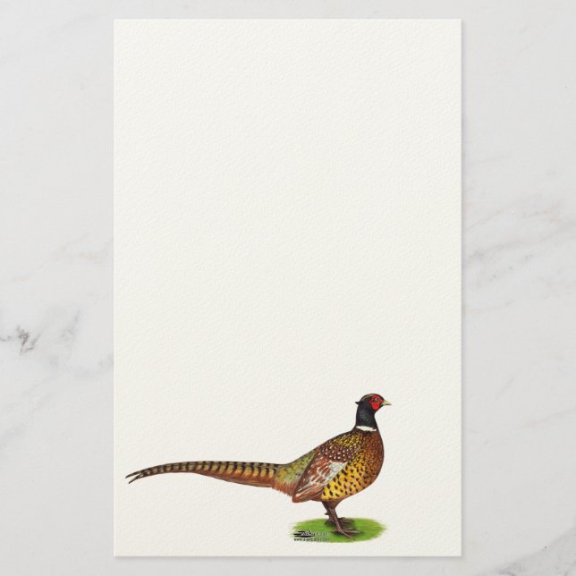 Papeterie Ringneck Pheasant Rooster (Devant)