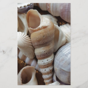 Papeterie Romantique Tropical Exotic Sea Shells Plage Amour