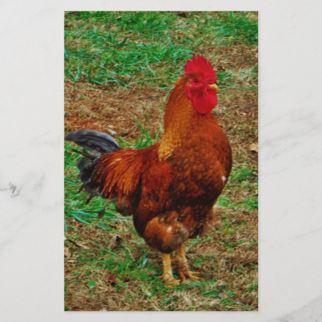 Papeterie Rooster (Devant)