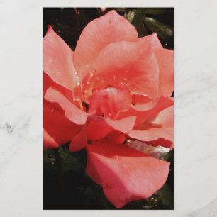 Papeterie rose de pêche et détritus