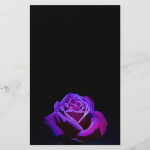 Papeterie Rose pourpre avec gouttes d'eau sur Arrière - plan