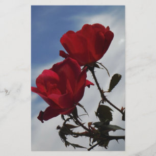 Papeterie Roses rouges contre un ciel bleu vif