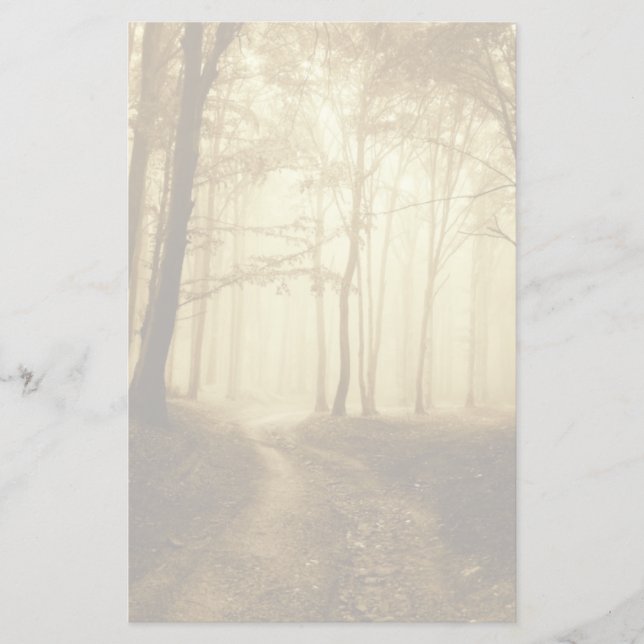 Papeterie Route dans une forêt sombre avec brouillard (Devant)