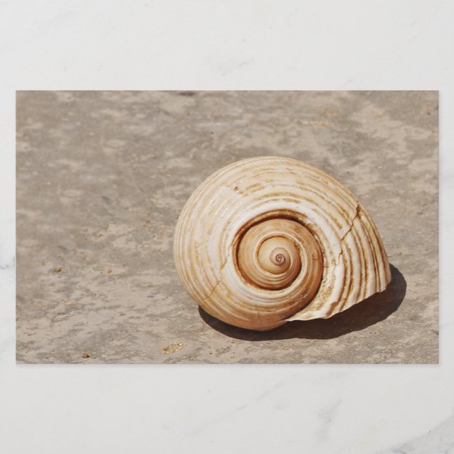 Papeterie SeaShell (Devant)