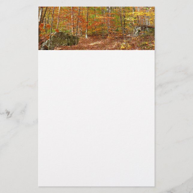 Papeterie Sentier de l'automne de la lumière du soleil au pa (Devant)