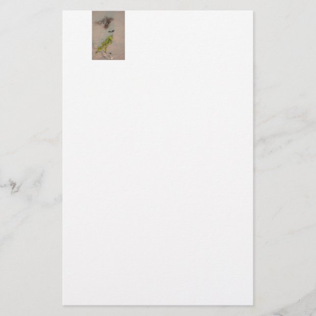 Papeterie Sirène (Devant)