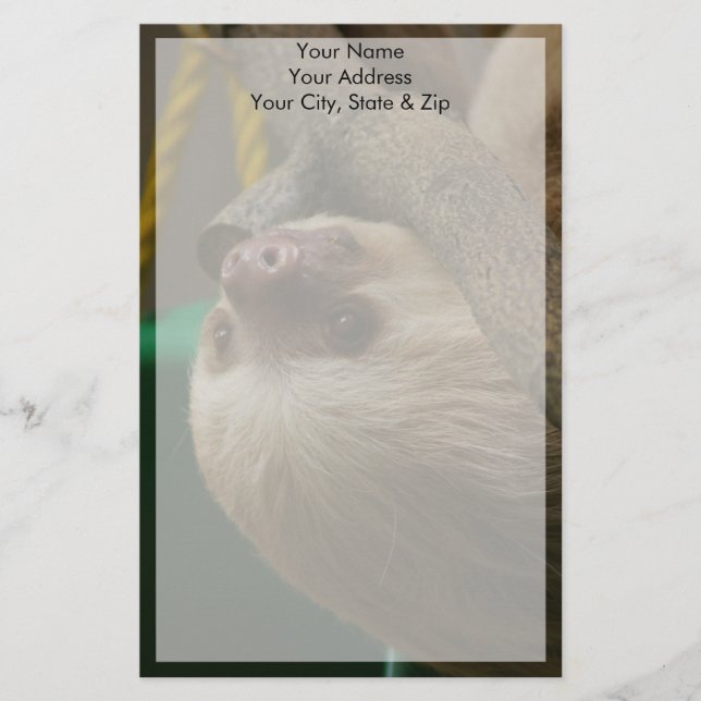 Papeterie Sloth (Devant)