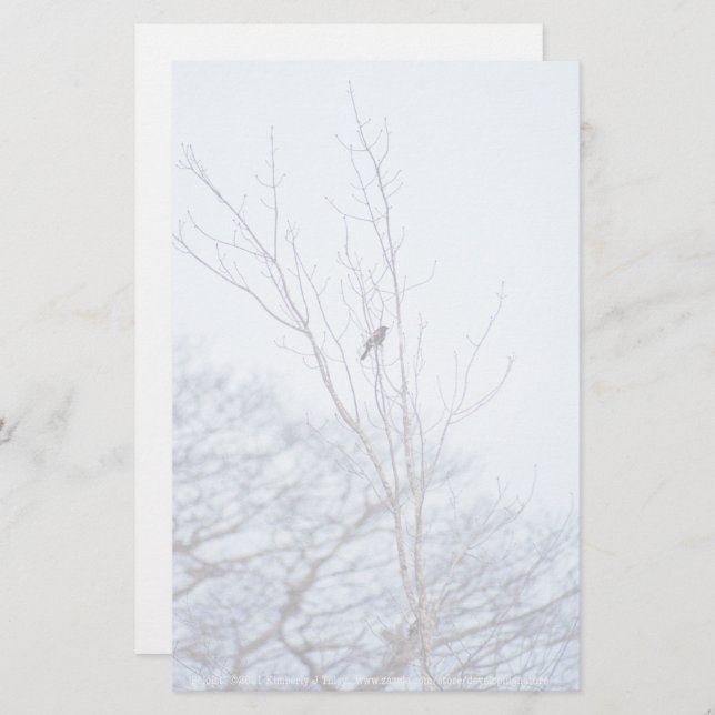 Papeterie Soliste (Devant / Derrière)