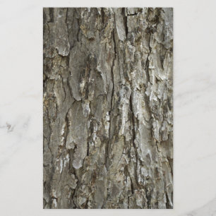 Papeterie Texture d'écorce d'arbre