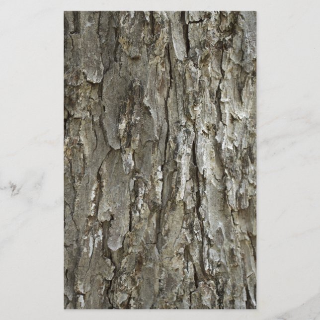 Papeterie Texture d'écorce d'arbre (Devant)