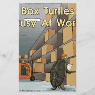 Papeterie Tortues Boîtes Drôles Au Travail