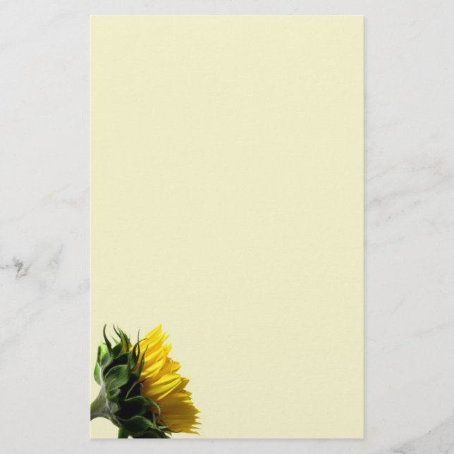 Papeterie Tournesol (Devant)