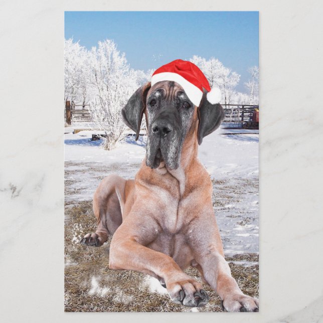 Papeterie Très Beau Chien Danse Assis Dans Le Casquette De N (Devant)