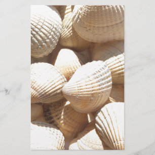 Papeterie Tropical Sunny Sea Shells