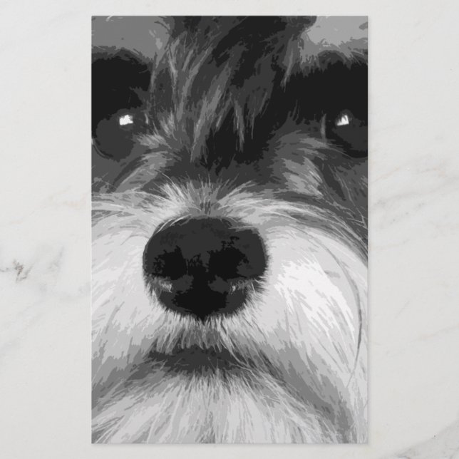 Papeterie Un Schnauzer miniature noir et blanc (Devant)