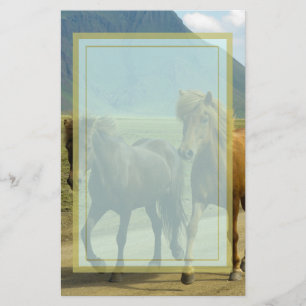 Papeterie Une paire de poneys islandais Brown