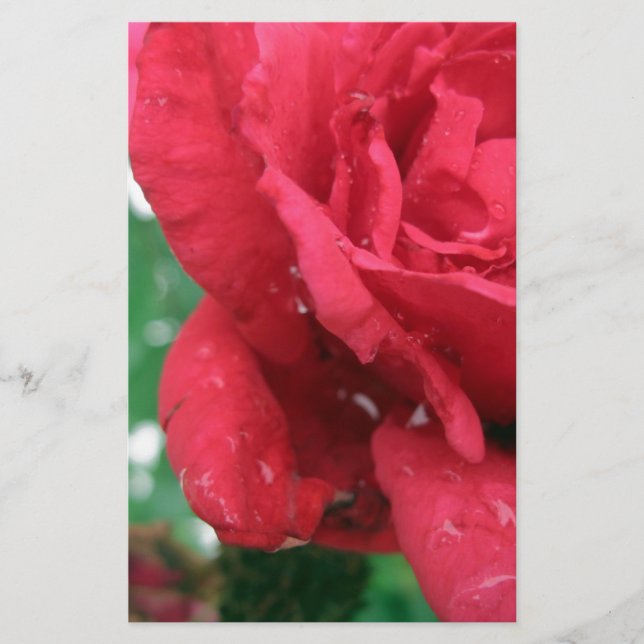 Papeterie Une rose rouge (Devant)