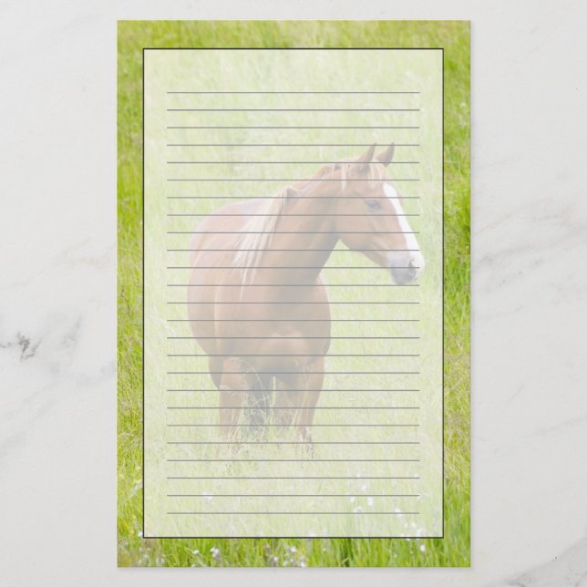 Papeterie USA, Washington, Horse in Spring Field, (Devant)