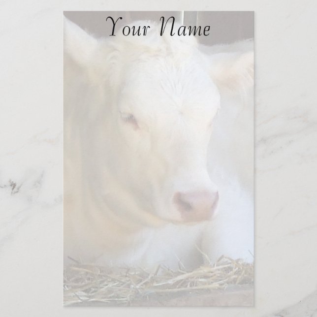 Papeterie Vache blanche (Devant)