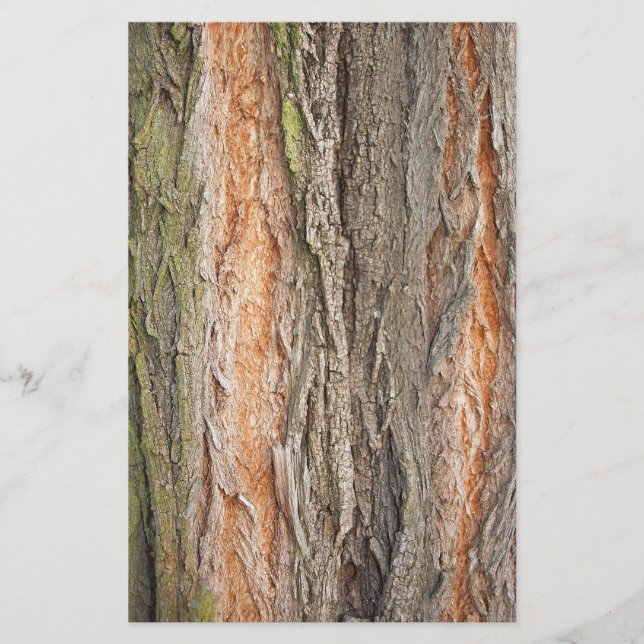 Papeterie vieux arbre (Devant)