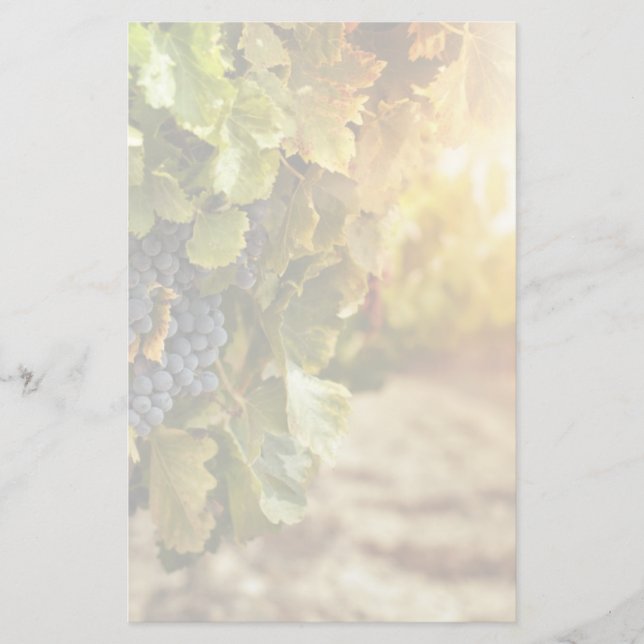 Papeterie Vignobles Au Coucher Du Soleil (Devant)