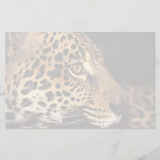 Papeterie Visage de guépard