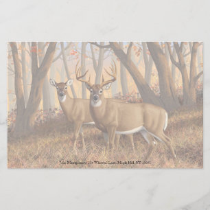 Papeterie White Deer Buck & Doe Automne Maple Woods