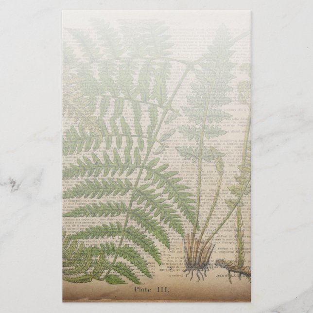 Papeterie woodland foliage french botanical (Devant)