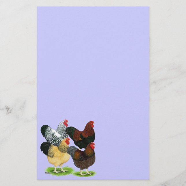Papeterie Wyandotte : Assortiment de coq (Devant)