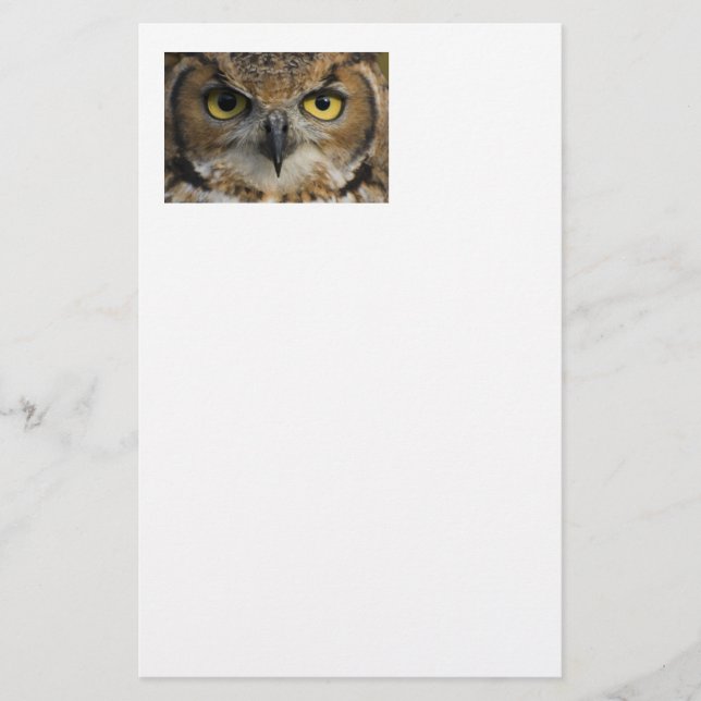 Papeterie Yeux de hibou (Devant)