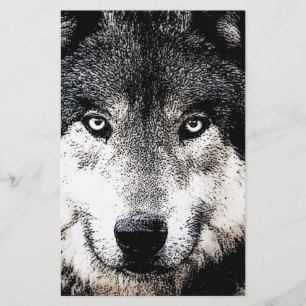 Papeterie Yeux de loup