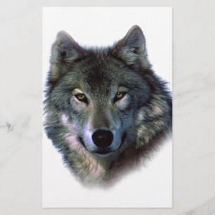 Papeterie Yeux de loup gris
