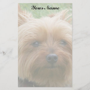 Papeterie Yorkshire Terrier