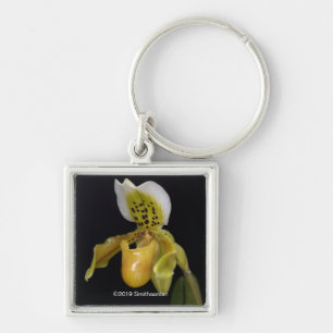Paphiopedilum Exul Keychain