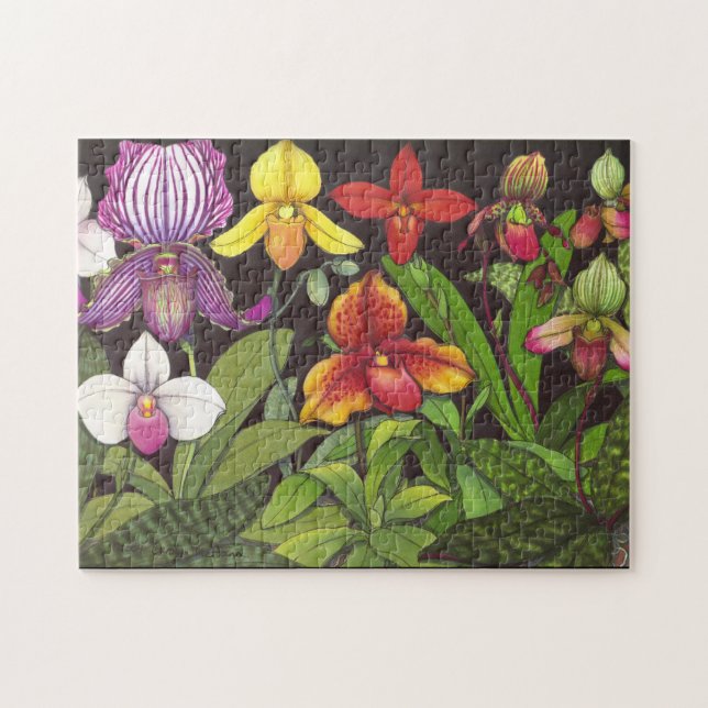 Paphiopedilum Lady Slipper Orchids Puzzle (Horizontal)