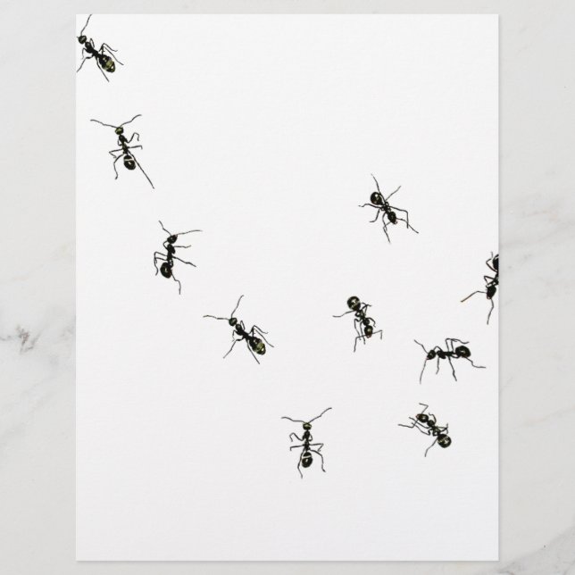 PAPIER 10 (Devant)