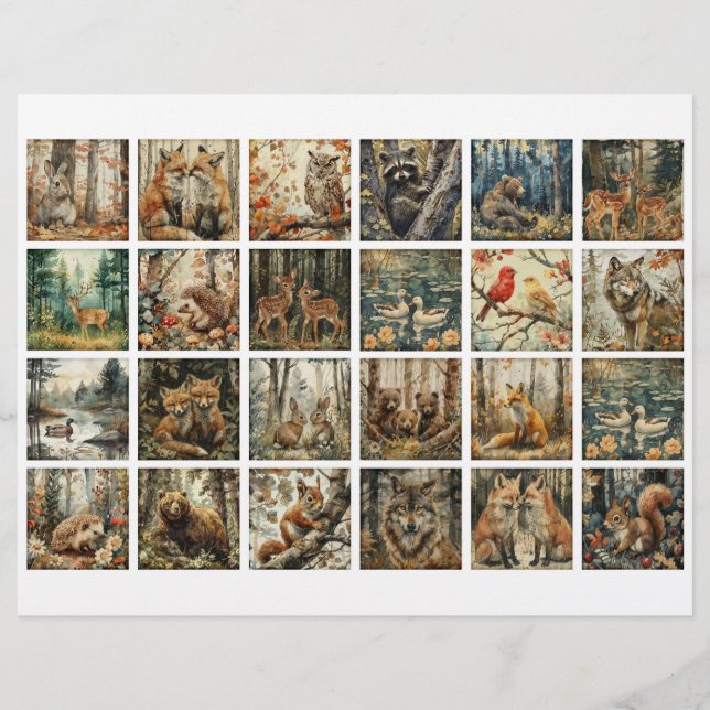 Papier 24 Forest Animal Squares for Junk Journaling Etc. (Devant)
