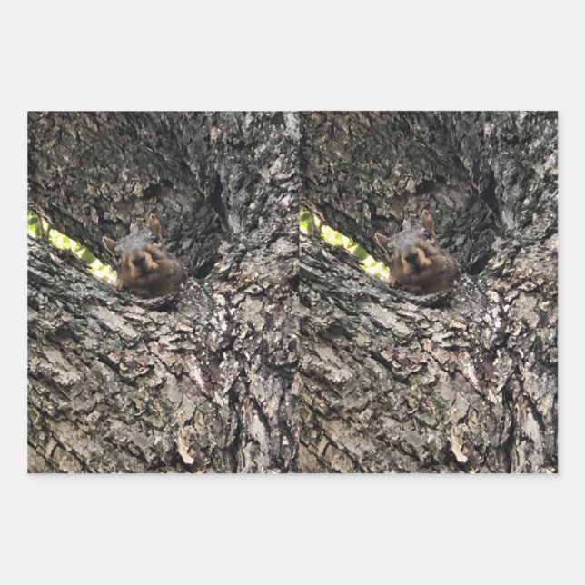 Papier à écureuil à feuilles plates Ensemble de 3 (Devant)