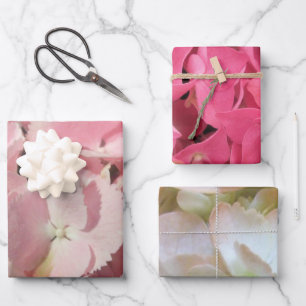 Papier à envelopper - Collection Hydrangea I