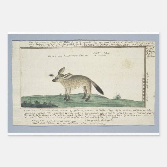 Papier à envelopper Feuille plate de 3 (Devant)