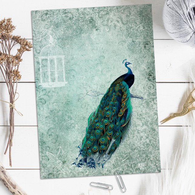 Papier à gratte-ciel Peacock (Créateur téléchargé)