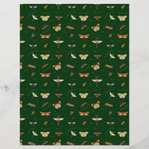 Papier à papier à écailles vintages Forêt verte