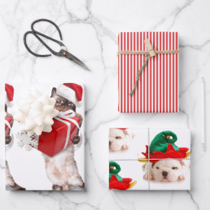 Papier à papier à envelopper CHRISTMAS pour anim
