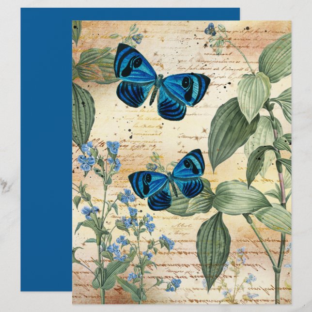 Papier à papier à scandale pour papillons bleus vi (Devant / Derrière)
