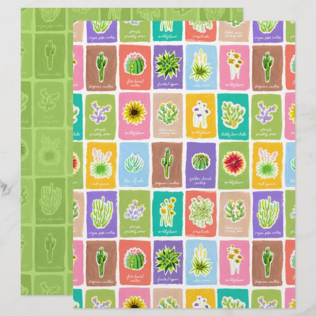 Papier à papier à scandale pour Plantes du désert (Devant / Derrière)