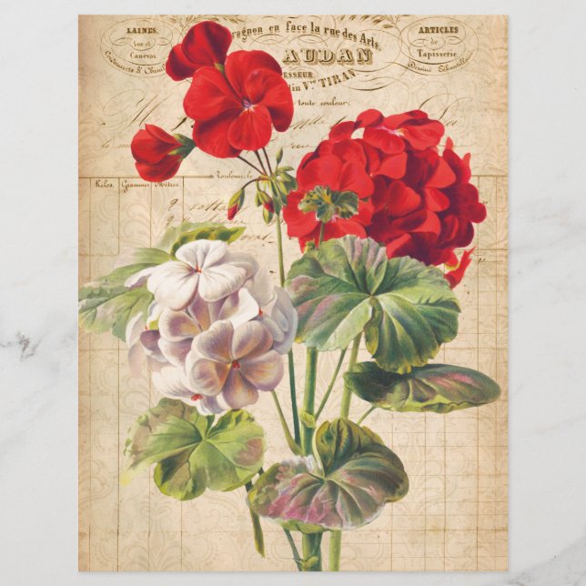 Papier à rebut à collage en géranium rouge (Devant)