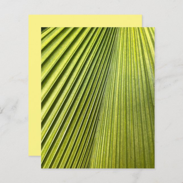 Papier à rebut vert Fan Palm Frond (Devant / Derrière)