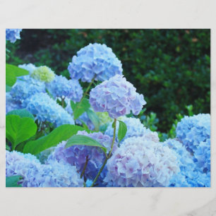 Papier à scandale Bleu Hydrangée Fleurs Jardin